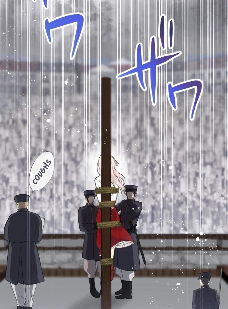 67008006 800 1080 139534